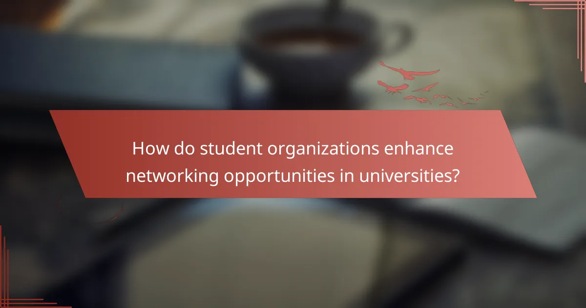 How do student organizations enhance networking opportunities in universities?