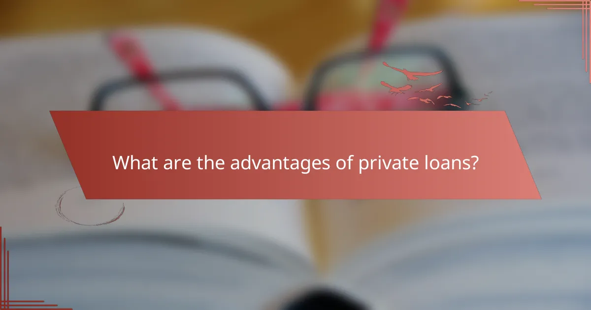What are the advantages of private loans?