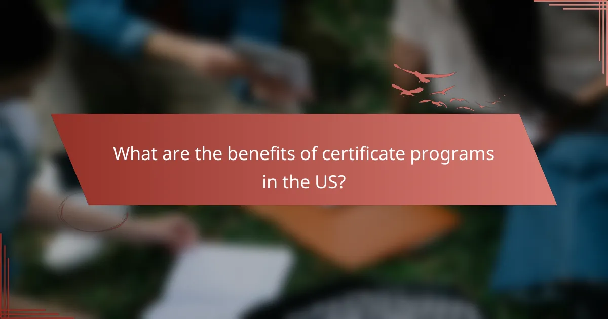 What are the benefits of certificate programs in the US?
