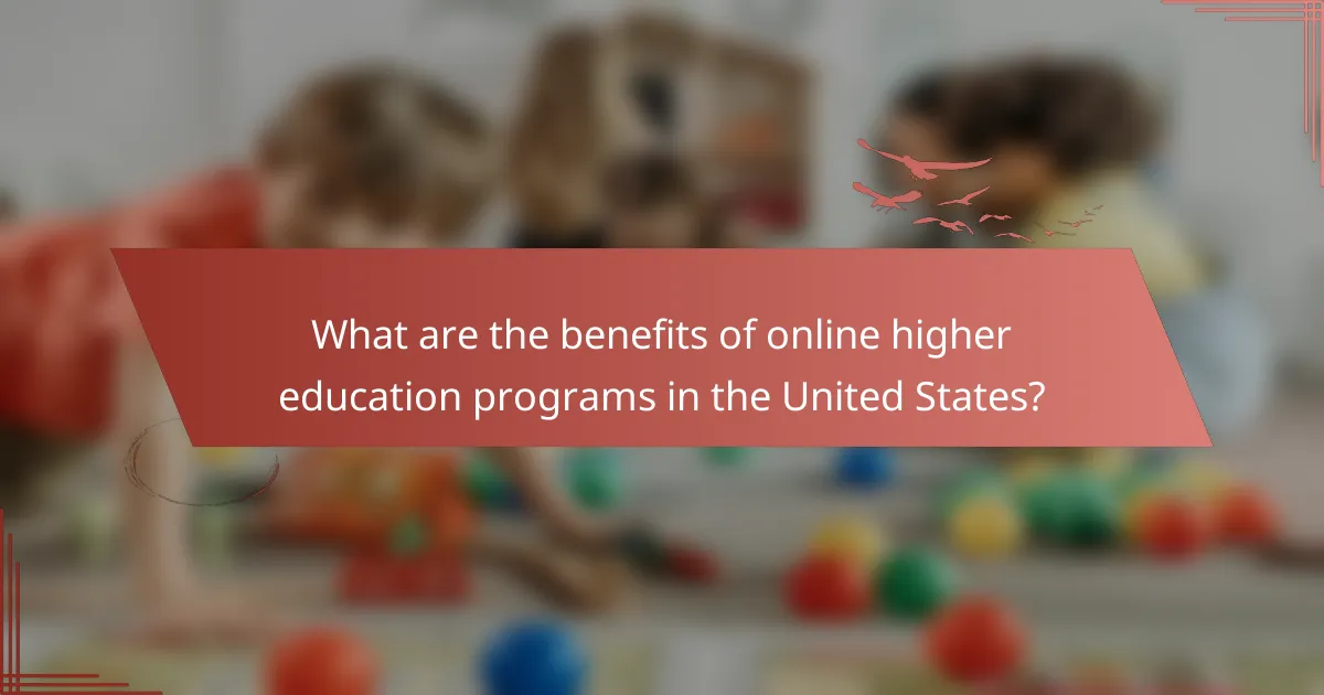 What are the benefits of online higher education programs in the United States?